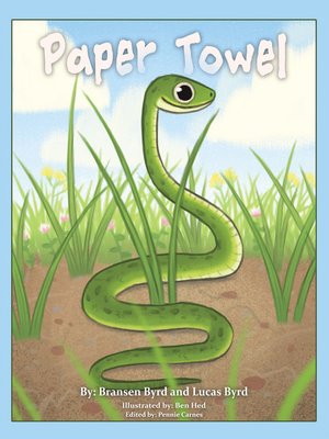 cover image of Paper Towel